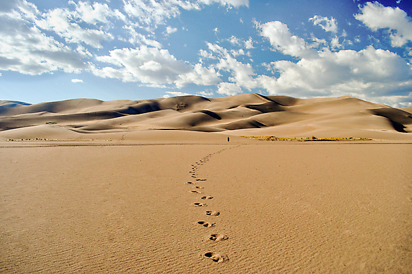 포토 JPG 해외이미지 주간 하늘 사람없음 야외 사막 발자국 모래언덕 콜로라도 해외포토 자연요소 자국 미국 언덕 파일형식 이미지허브