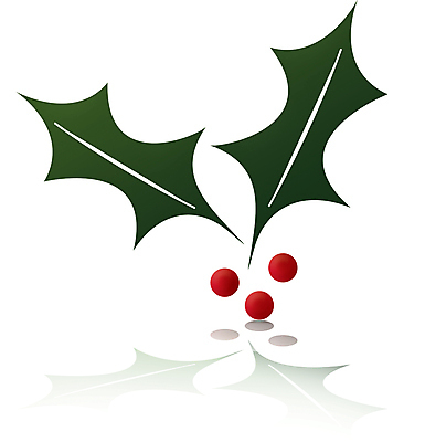 포토 JPG 해외이미지 식물 전통 디자인 계절 열매 문화 백그라운드 잎 크리스마스 겨울 과일 일러스트 자연 휴가 선물 사람없음 장식 빨간색 초록색 세트 3D 가을 흰색 나뭇가지 축하 인사 신용카드 가시 12월 연도 오브젝트 싱글 스파이크 고립 해외일러스트 나무 기념일 컬러 컨셉 금융 예절 날짜 디지털합성 생태계 파일형식 이미지허브