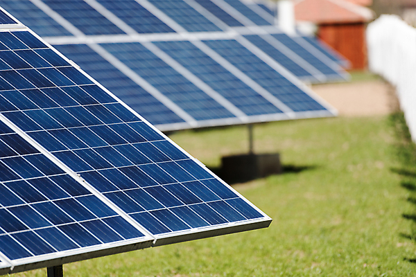 포토 JPG 해외이미지 주간 잔디 사람없음 야외 아웃포커스 태양에너지 집열판 해외포토 자연요소 식물 촬영기법 그린에너지 파일형식 이미지허브