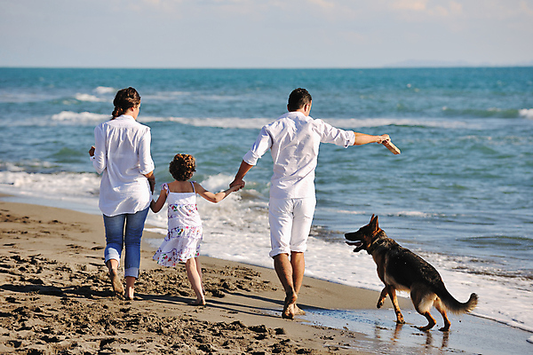 포토 JPG 해외이미지 주간 전신 백인 라이프스타일 남자 딸 행복 반려견 어린이 바다 여행 가족 엄마 휴가 함께함 사랑 들기 성인 해변 야외 뒷모습 세명 반려동물 손들기 걷기 손잡기 기쁨 아빠 개 해외포토 자연요소 서양인 동물 감정 뷰포인트 컨셉 포유류 관계 모션 사람 생활 파일형식 이미지허브