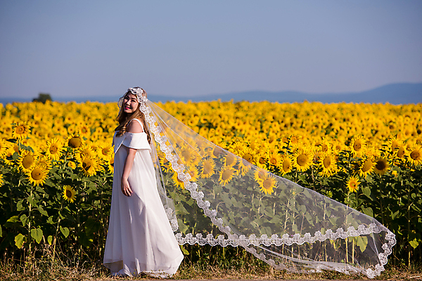 포토 JPG 해외이미지 주간 전신 여자 신부 웨딩드레스 꽃밭 해바라기 면사포 한명 서기 동양인 성인 야외 옆모습 성인여자한명만 해외포토 자연요소 1 드레스 꽃 뷰포인트 결혼 모션 사람 인종 결혼소품 여자한명만 성인여자만 파일형식 이미지허브
