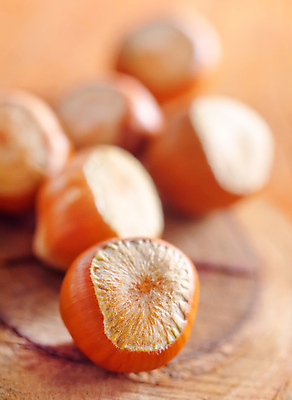 포토 JPG 해외이미지 근접촬영 사람없음 아웃포커스 헤이즐넛 개암 해외포토 열매 뷰포인트 촬영기법 견과류 파일형식 이미지허브