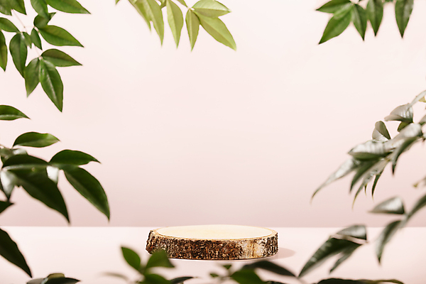 JPG 해외이미지 일러스트 자연 나뭇잎 사람없음 목재 3D 통나무 단상 내추럴 해외포토 포토 나무 잎 재료 디지털합성 생태계 파일형식 이미지허브