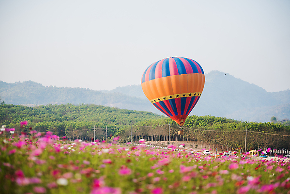 포토 JPG 해외이미지 나무 구름 아시아 호수 스포츠 여행 백그라운드 밭 교통시설 태국 자연 하늘 아침 휴가 산 안테나 동양인 풍경 사람없음 물 여름 파란색 강 컬러풀 반사 여행객 맑음 축제 자유 열기구 연못 뜨거움 댐 만족 코스모스 풍선 내추럴 전국 콜로라도 해외포토 주간 자연요소 식물 계절 공공시설 꽃 감정 나라 컬러 교통 컨셉 농업 통신 항공교통 날씨 사람 인종 미국 시설 생태계 파일형식 이미지허브