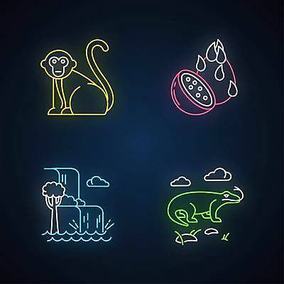 EPS 해외이미지 식물 동물 전통 디자인 아시아 문화 선 섬 여행 백그라운드 과일 일러스트 휴가 항해 미술 그래픽 빛 세트 폭포 탐험 원숭이 수집 심볼 사인 호기심 도마뱀 윤곽 네온 발리 인도네시아 형광등 빛망울 고립 동물상 엘리먼트 특별함 해외일러스트 감정 나라 컨셉 포유류 파충류 자연 문화예술 전등 조형물 배 선박 파일형식 벡터 수상교통 조명 생태계 교통수단 교통 이미지허브