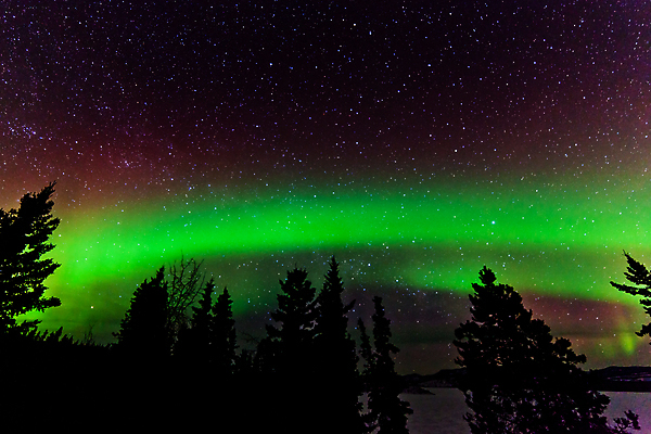 포토 JPG 해외이미지 나무 실루엣 별 캐나다 겨울 밭 자연 하늘 전등 풍경 사람없음 야외 초록색 빛 우주 소용돌이 야간 숲 영토 천문학 북쪽 알래스카 빛망울 오로라 광 현상 해외포토 자연요소 식물 계절 교육 컬러 북아메리카 농업 자연현상 조명 촬영기법 미국 회오리 방향 생태계 파일형식 이미지허브