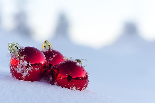 포토 JPG 해외이미지 주간 크리스마스장식 겨울 사람없음 야외 아웃포커스 눈 오너먼트 해외포토 자연요소 계절 크리스마스 날씨 촬영기법 파일형식 이미지허브