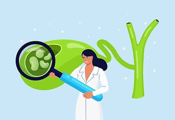 EPS 해외이미지 여자 일러스트 돋보기 한명 들기 상반신 성인 진료 의사 관찰 확대 쓸개 성인여자한명만 요로결석 해외일러스트 1 의학 모션 사람 의료진 장기_의학 질병 여자한명만 성인여자만 파일형식 벡터 이미지허브