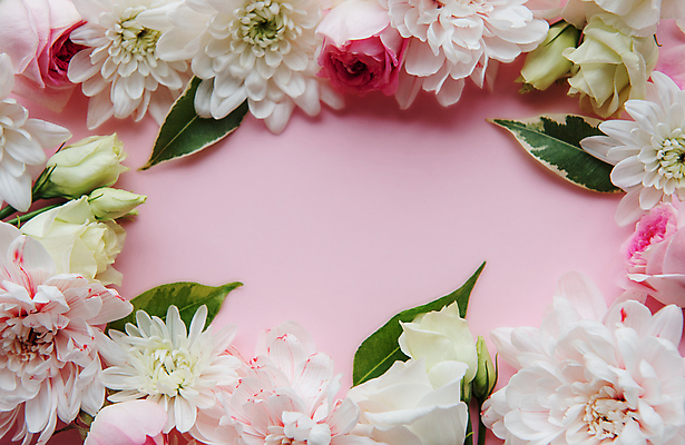 포토 JPG 해외이미지 꽃 분홍색 프레임 실내 사람없음 카피스페이스 해외포토 식물 컬러 내부 공백 파일형식 이미지허브
