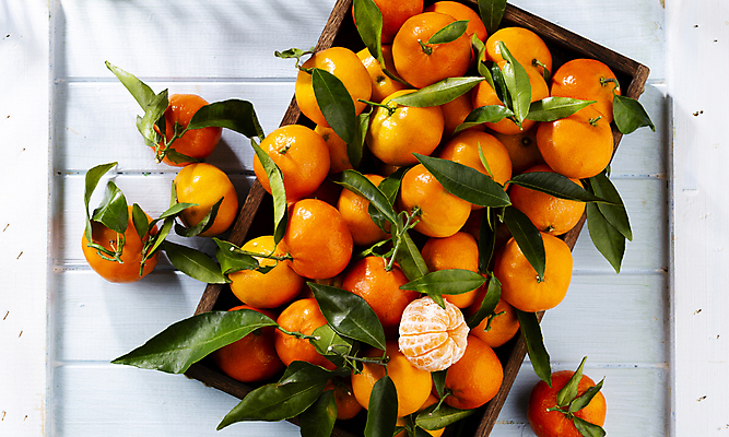 포토 JPG 해외이미지 귤 실내 사람없음 하이앵글 바구니 흰배경 담기 해외포토 뷰포인트 백그라운드 과일 모션 내부 흰색 파일형식 이미지허브