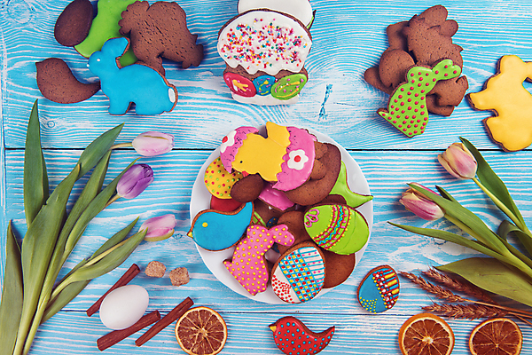포토 JPG 해외이미지 접시 꽃 잎 병아리 사람없음 장식 화려 부활절계란 파란배경 건과일 새모양 시나몬 토끼모양 진저쿠키 스프링클 나무배경 해외포토 모양 식물 식기 백그라운드 컨셉 과일 조류 부활절 건조 파란색 쿠키 계란 파일형식 이미지허브