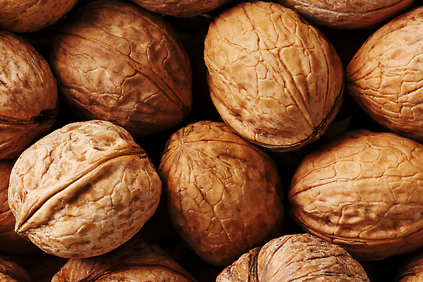 포토 JPG 해외이미지 근접촬영 사람없음 갈색 견과류 가득함 호두 많음 해외포토 뷰포인트 컬러 컨셉 파일형식 이미지허브