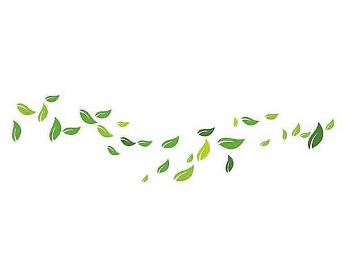 EPS 해외이미지 나무 식물 템플릿 디자인 음식 백그라운드 잎 꽃무늬 패턴 일러스트 회사 비즈니스 재료 자연 바람 추상 건강 미술 그래픽 장식 초록색 새싹 환경 봄 신선 플랫 보호 수집 허브 심볼 사인 에코 유기농 내추럴 생태학 비건 해외일러스트 자연요소 웰빙 계절 교육 꽃 컬러 컨셉 무늬 날씨 문화예술 생태계 채식주의자 파일형식 벡터 이미지허브