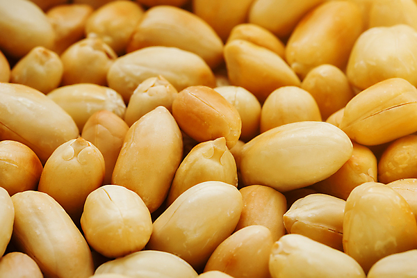 포토 JPG 해외이미지 실내 사람없음 여러개 가득함 땅콩 베이지색 해외포토 컬러 다수 내부 견과류 파일형식 이미지허브