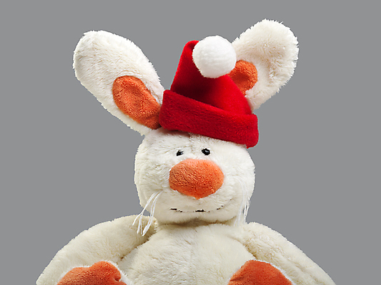 포토 JPG 해외이미지 모양 동물 모자 1 전통 응시 계절 백그라운드 컨셉 크리스마스 겨울 포유류 자연 휴가 새로움 털 사람없음 빨간색 반려동물 장난감 산타클로스 흰색 축하 인사 날짜 12월 자르기 연도 사인 슛 부드러움 솜털 고립 캡모자 클라우스 해외포토 모자_잡화 시선 잡화 기념일 컬러 모션 예절 감각 생태계 파일형식 이미지허브