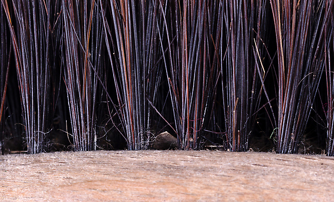 포토 JPG 해외이미지 사람없음 목재 뷰티 검은색 화장품 수확 붓 머리빗 치아 심플 옛날 해외포토 나무 컬러 농업 재료 미용용품 소화기관 파일형식 이미지허브