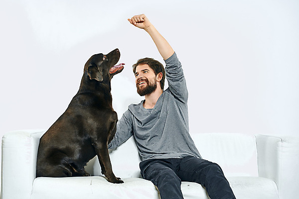 포토 JPG 해외이미지 백인 한마리 남자 반려견 함께함 실내 한명 앉기 상반신 성인 앞모습 친구 반려동물 소파 손들기 주먹 우정 올려보기 강아지 래브라도리트리버 즐거움 흰배경 성인남자한명만 해외포토 서양인 동물 1 감정 뷰포인트 백그라운드 컨셉 의자 관계 모션 사람 내부 흰색 개 리트리버 남자한명만 성인남자만 파일형식 이미지허브
