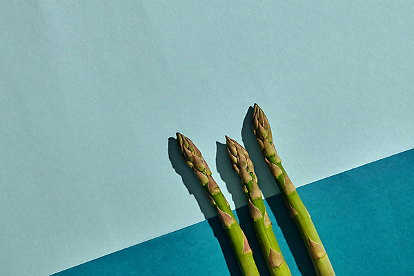 포토 JPG 해외이미지 하늘색 사람없음 하이앵글 파란배경 아스파라거스 해외포토 뷰포인트 백그라운드 채소 파란색 파일형식 이미지허브