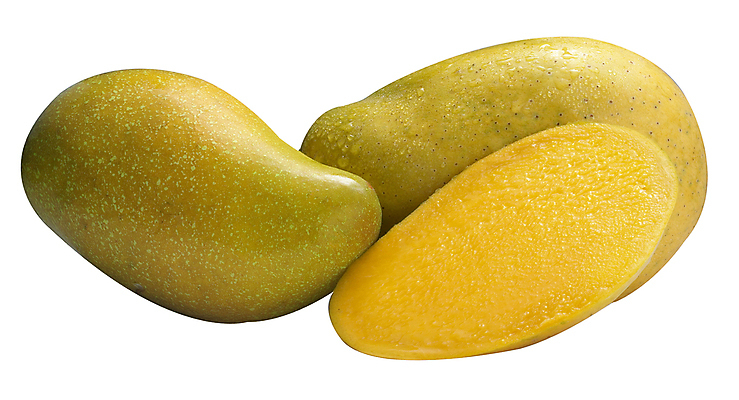 포토 JPG 해외이미지 음식 다이어트 과일 자연 건강 사람없음 노란색 흰색 신선 달콤 맛 망고 비타민 고립 숙성 영양소 맛있는 해외포토 컬러 컨셉 열대과일 생태계 파일형식 이미지허브