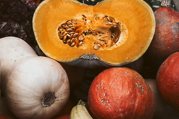 포토 JPG 해외이미지 식물 계절 꽃 음식 백그라운드 농업 채소 오렌지 과일 자연 호박 건강 사람없음 장식 가로 농작물 컬러풀 농장 노란색 세일 상점 활발 할로윈 수확 신선 시장 냄비 과수원 유기농 박 추수감사절 스쿼시 숙성 많음 해외포토 웰빙 산업 기독교 스포츠 컬러 컨셉 구기 솥 생태계 파일형식 이미지허브