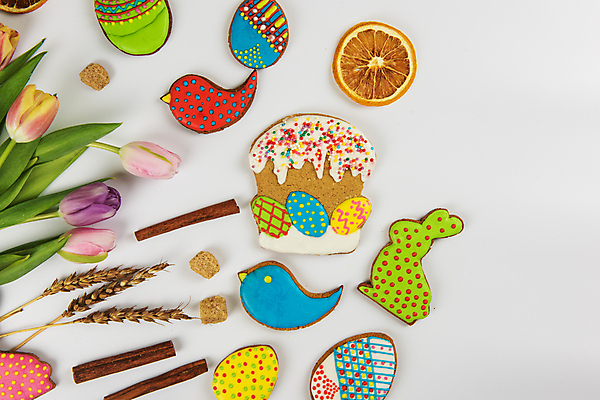 포토 JPG 해외이미지 꽃 잎 사람없음 장식 화려 부활절계란 건과일 새모양 시나몬 토끼모양 진저쿠키 스프링클 해외포토 모양 식물 컨셉 과일 부활절 건조 쿠키 계란 파일형식 이미지허브