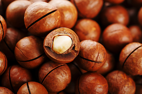 포토 JPG 해외이미지 단면 실내 사람없음 갈색 껍질 가득함 많음 마카다미아 해외포토 컬러 컨셉 내부 견과류 파일형식 이미지허브