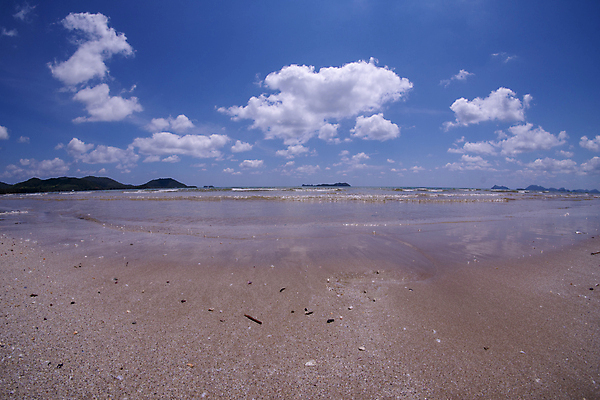 포토 JPG 해외이미지 구름 모래 파도 바다 여행 자연 조류 하늘 풍경 사람없음 물 여름 파란색 태양 수평선 해외포토 자연요소 동물 계절 컬러 생태계 파일형식 이미지허브