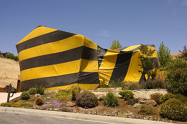 포토 JPG 해외이미지 디자인 꽃 지붕 부동산 주택 석조 사람없음 상자 세일 정원 차도 독약 재산 건축가 큼 주차 편지 타일 진짜 특별함 해외포토 식물 직업 도로 컨셉 건물 금융 크기 파일형식 이미지허브