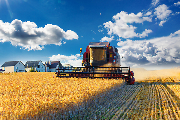포토 JPG 해외이미지 밭 농업 사람없음 건물 농장 농경지 맑음 수확 트랙터 밭일 해외포토 건축물 산업 날씨 농기계 특수차량 파일형식 이미지허브