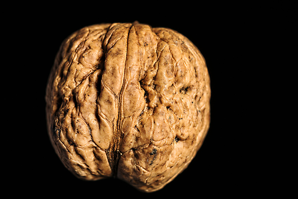 포토 JPG 해외이미지 식물 음식 백그라운드 과일 재료 자연 검은배경 건강 사람없음 갈색 견과류 껍질 신선 중앙 묘사 유기농 반쪽 날것 호두 내추럴 고립 단백질 채식주의자 맛있는 해외포토 웰빙 컬러 검은색 생태계 채식 영양소 파일형식 이미지허브