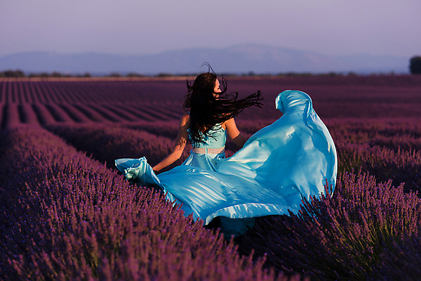 포토 JPG 해외이미지 주간 여자 바람 한명 상반신 성인 야외 뒷모습 보라색 프랑스 라벤더 프로방스 성인여자한명만 해외포토 자연요소 1 꽃 유럽 뷰포인트 컬러 날씨 사람 허브 여자한명만 성인여자만 파일형식 이미지허브