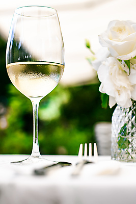 포토 JPG 해외이미지 주간 와인잔 한잔 사람없음 야외 아웃포커스 장미 와인 소프트포커스 화이트와인 해외포토 자연요소 1 꽃 술잔 주류 촬영기법 파일형식 이미지허브