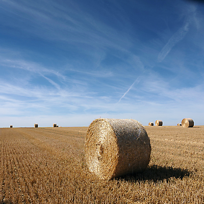 포토 JPG 해외이미지 식물 구름 계절 음식 밭 농업 자연 하늘 건조 옥수수 풍경 초원 사람없음 야외 여름 파란색 농작물 태양 농장 농경지 노란색 쌓기 수확 가을 시골 원형 황금 볏짚 먹이 낟알 땅 자르기 시리얼 밀 보리 롤 패키지 뭉치 밀짚 내추럴 밭일 수평선 해외포토 자연요소 도형 산업 컬러 모션 곡류 짚 생태계 파일형식 이미지허브