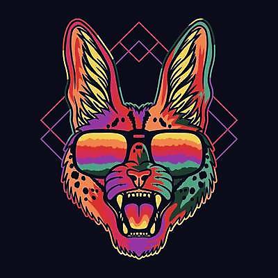 EPS 해외이미지 일러스트 사람없음 컬러풀 선글라스 심볼 살쾡이 해외일러스트 안경 컬러 파일형식 벡터 이미지허브