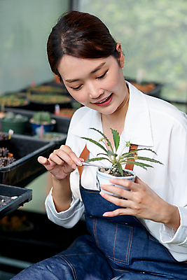 포토 JPG 해외이미지 식물 라이프스타일 응시 여자 꽃 행복 화초 얼굴 잎 가사 꽃무늬 농업 자연 주택 한국 건강 관리 한명 미소 사람 동양인 취미 야외 초록색 여름 환경 정원 일본 성장 발코니 신선 냄비 원예 돌봄 생태학 원예사 해외포토 직업 1 시선 계절 교육 감정 산업 아시아 컬러 무늬 모션 표정 인종 건물 생활 신체부위 솥 생태계 파일형식 이미지허브
