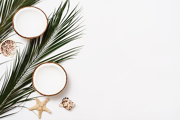 포토 JPG 해외이미지 식물 디자인 배너 음식 바다 여행 백그라운드 컨셉 잎 꽃무늬 과일 재료 자연 휴가 프레임 손바닥 미술 사람없음 초록색 뷰티 유행 우주 견과류 껍질 흰색 신선 정상 질감 위치 코코넛 내추럴 구성 이국적 플랫레이 미니멀 해외포토 손 꽃 컬러 무늬 문화예술 플랫 생태계 파일형식 이미지허브