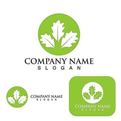 EPS 해외이미지 디자인 잎 일러스트 사람없음 초록색 심볼 에코 유기농 엘리먼트 해외일러스트 식물 웰빙 컬러 환경 파일형식 벡터 이미지허브