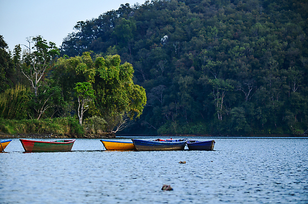 포토 JPG 해외이미지 주간 나무 호수 자연 사람없음 야외 나무배 해외포토 자연요소 식물 배_교통 생태계 파일형식 이미지허브