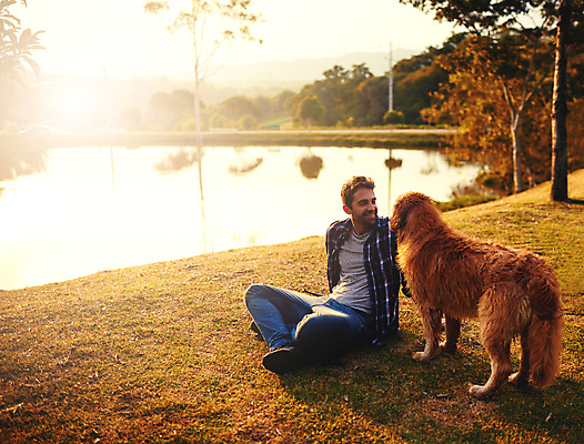 포토 JPG 해외이미지 주간 전신 한마리 라이프스타일 응시 공원 남자 행복 여유 휴식 함께함 사랑 한명 앉기 성인 야외 친구 개 래브라도리트리버 성인남자한명만 해외포토 자연요소 1 시선 공공시설 감정 컨셉 포유류 관계 모션 사람 생활 리트리버 남자한명만 성인남자만 파일형식 이미지허브