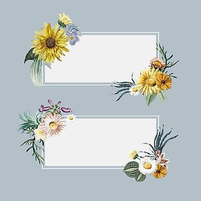 EPS 해외이미지 꽃 잎 일러스트 해바라기 사각프레임 사람없음 직사각형 꽃프레임 프레임일러스트 보테니컬아트 해외일러스트 도형 식물 프레임 사각형 파일형식 벡터 이미지허브