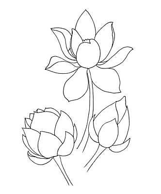 EPS 해외이미지 식물 손 디자인 배너 꽃 실루엣 선 결혼 백그라운드 잎 꽃무늬 패턴 일러스트 비즈니스 요가 자연 추상 프레임 미술 그래픽 장식 물 유행 검은색 스파 봄 수확 벚꽃 신용카드 생일 스케치 문신 심볼 라인아트 그림 복고 윤곽 고립 국경 해외일러스트 자연요소 웰빙 계절 기념일 컬러 무늬 농업 문화예술 촬영기법 이벤트 신체부위 금융 생태계 파일형식 벡터 이미지허브