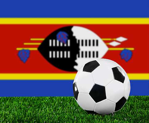 포토 JPG 해외이미지 디자인 스포츠 파도 백그라운드 밭 공 자연 놀이 성공 사람없음 야외 초록색 검은색 축구 경쟁 경기장 장비 자유 게임 흰색 깃발 우승 원형 놀이터 가죽 심볼 오브젝트 사인 애국심 골 땅바닥 여의주 전국 해외포토 도형 바다 컬러 컨셉 농업 스포츠시설 바닥 구기 최고 생태계 파일형식 이미지허브