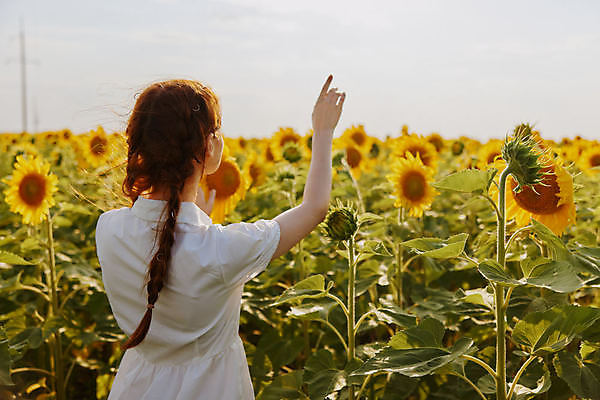 포토 JPG 해외이미지 주간 여자 꽃밭 해바라기 한명 풍경 상반신 성인 야외 뒷모습 여름 가리킴 성인여자한명만 해외포토 자연요소 1 계절 꽃 뷰포인트 사람 손짓 여자한명만 성인여자만 파일형식 이미지허브