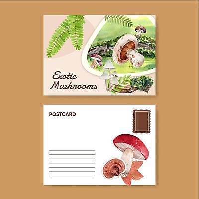 EPS 해외이미지 리플렛 일러스트 사람없음 세트 버섯 풀잎 엽서 해외일러스트 잎 풀_식물 편지 파일형식 벡터 이미지허브