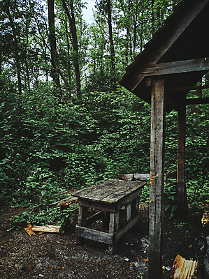 포토 JPG 해외이미지 나무 식물 계절 공원 여행 잎 벤치 건축양식 자연 탁자 휴가 휴식 주택 한명 야외 건물 목재 햇빛 뷰티 소풍 우주 환경 정원 봄 캠핑 시골 숲 바비큐 통나무 장면 지역 발견 해외포토 1 건축물 공공시설 건축 음식 가구 컨셉 의자 재료 레저 사람 태양 야외활동 생태계 파일형식 이미지허브