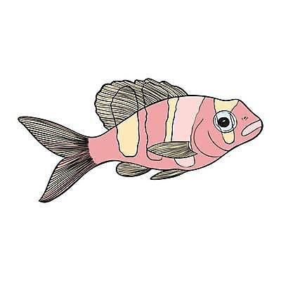 EPS 해외이미지 클립아트 동물 포스터 호수 야생동물 음식 바다 일러스트 왕관 불가사리 생물 종류 어류 그래픽 물 반려동물 강 세트 컬러풀 수중 광대 산호 인쇄 스케치 참치 해산물 돌고래 메뉴 그림 네온 연어 상어 수영선수 암초 수족관 서명 깊이 소금물 스크랩북 이국적 현실 해외일러스트 자연요소 컬러 포유류 극피동물 운동선수 미술 수중동물 자포동물 파일형식 벡터 이미지허브