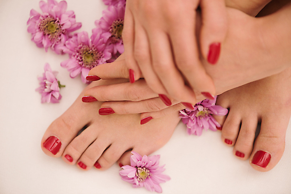 포토 JPG 해외이미지 손 꽃 발 신체부위 네일아트 페디큐어 해외포토 식물 사람 뷰티 파일형식 이미지허브