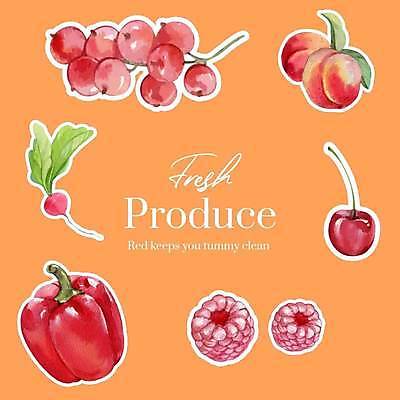 EPS 해외이미지 스티커 일러스트 파프리카 사람없음 체리 산딸기 복숭아 손그림 레드커런트 엘리먼트 적환무 해외일러스트 열매 채소 과일 무 파일형식 벡터 이미지허브