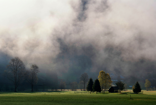 포토 JPG 해외이미지 나무 자연 산 독일 사람없음 검은색 안개 숲 헛간 해외포토 식물 유럽 컬러 날씨 생태계 저장고 파일형식 이미지허브