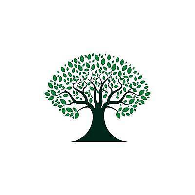 EPS 해외이미지 나무 식물 디자인 실루엣 컨셉 잎 일러스트 회사 비즈니스 자연 추상 그래픽 초록색 환경 정원 성장 심볼 에코 유기농 내추럴 고립 생태학 엘리먼트 해외일러스트 웰빙 교육 컬러 무늬 촬영기법 생태계 파일형식 벡터 이미지허브